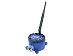 Wzzard Sensor
