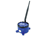 Wzzard Sensor